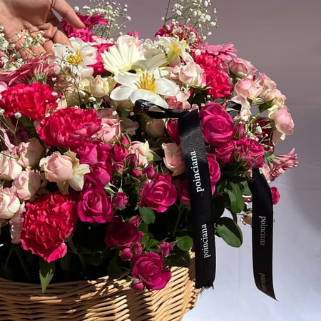 سلة بونسيانا |POINCIANA BASKET