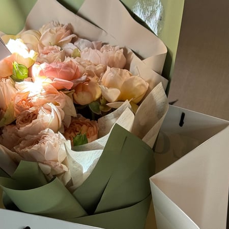 جاردن روز | GARDEN ROSE