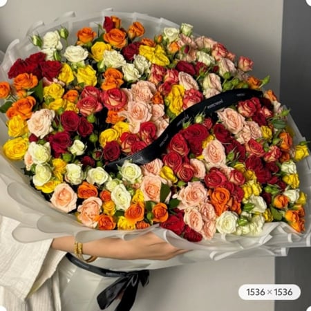 60 غصن  | 60 SPRAY ROSE