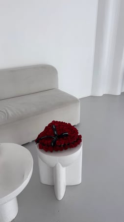 قلب بونسيانا| POINCAINA'S HEART