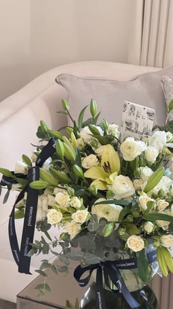 فازه السلامة