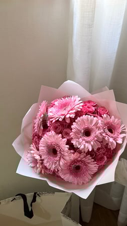 بينك جربيرا | PINK GERBERA