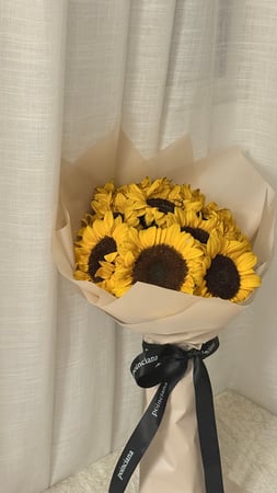 عباد الشمس | sunflower