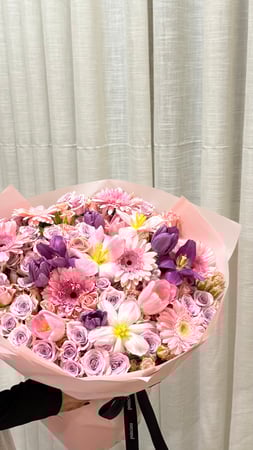 مكس توليب |TULIP MIX