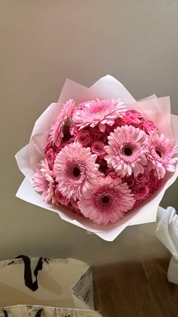 بينك جربيرا | PINK GERBERA