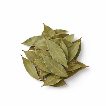 ورق غار عضوي