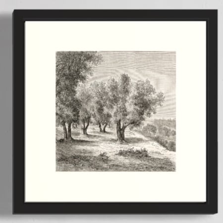 مجموعة لوحات كنفاس مكونة من 6 لوحات