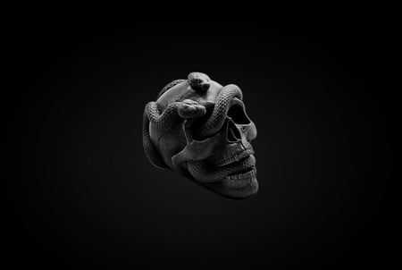 شمعتين | Snake skull