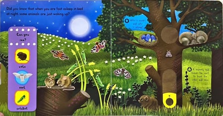 كتاب الحيوانات الليلية "Night animals"