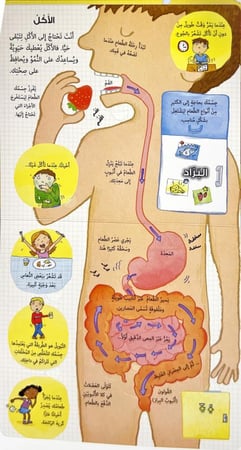 انظر داخل-جسمك