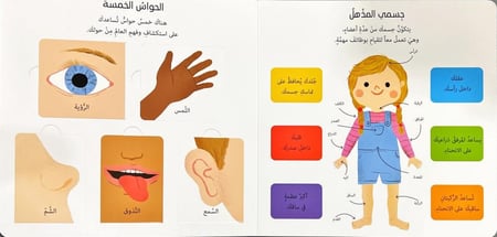 جسمي المذهل