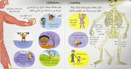 انظر داخل-جسمك