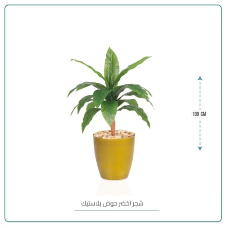 شجرة ورق أخضر حوض ذهبي 110 سم