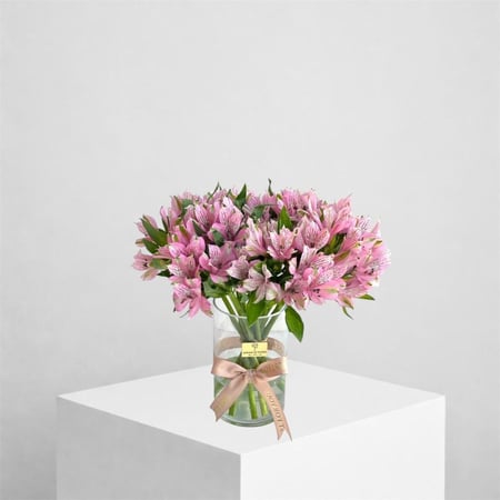 فازة السمتوريا