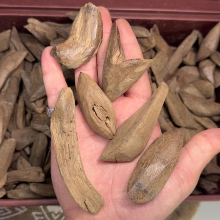 عود مروكي كواليتي محسن