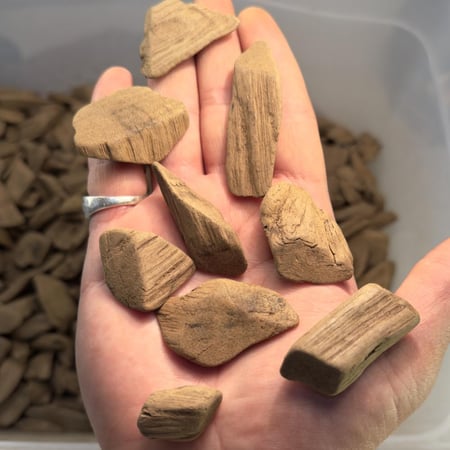 عود مروكي ميني محسن