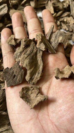 كلمنتان بونتيانك