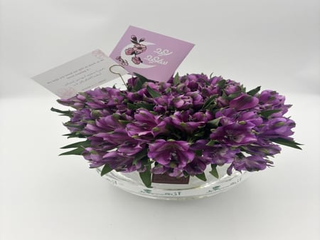 فازة " استروميريا "