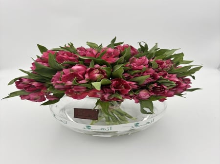 فازة " استروميريا "