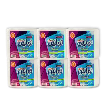 6 عبوات مناديل ماكسي رول تولين - 300 متر