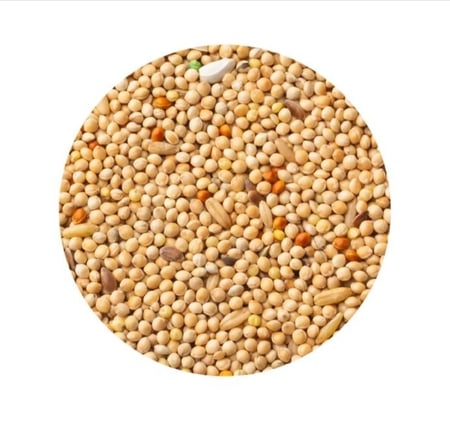 اكل مشكل بادجيPET CUP بيت كب