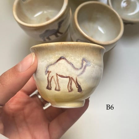 #B جمل الصحراء