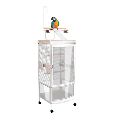 قفص ببغاء كبير و مميز اربع جهات شفافه كريلك شفاف مع استاند علوي موديل BC12-1