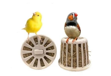 خيوط خاصه بالكناري الزيبرا