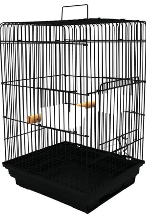 قفص ببغاء جوانب متوسط الحجم