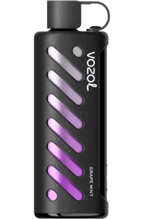Vozol gear shisha 25K puff