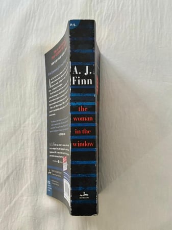 The Woman In The Window