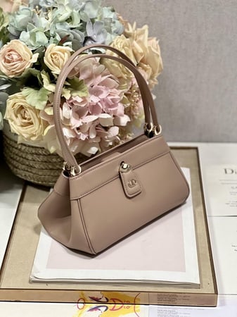Small Christian Dior Bag