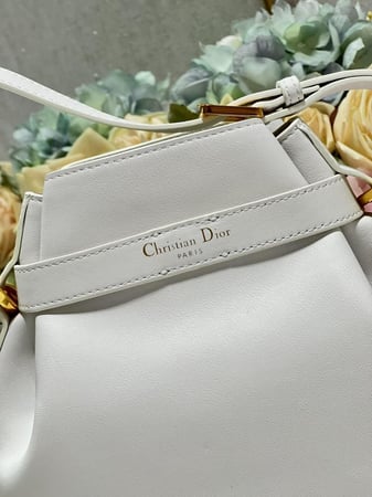 Medium C'est Dior Bag