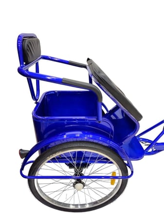 دراجة الشاطئ  24 اBeach bike with rear seat