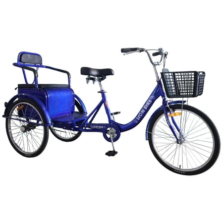 دراجة الشاطئ  24 اBeach bike with rear seat