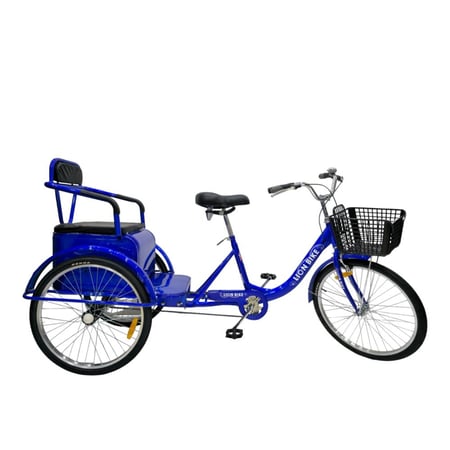 دراجة الشاطئ  24 اBeach bike with rear seat