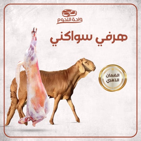 ذبيحة سواكني الوزن 20-24 كجم شامل الكبدة والرأس