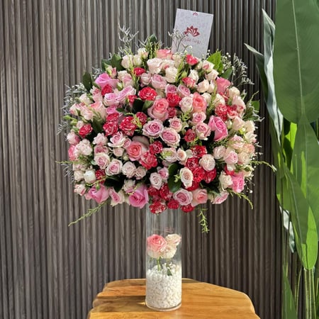 فازه روز جوري