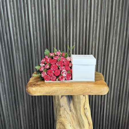 كيكة كانديرا