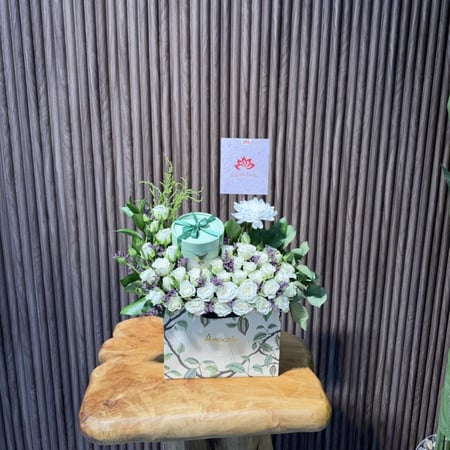 تشوكلت انوش