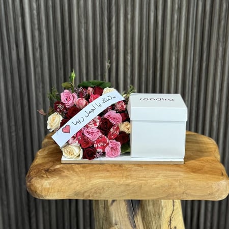 كيكة كانديرا 11