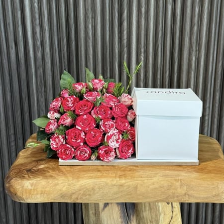 كيكة كانديرا