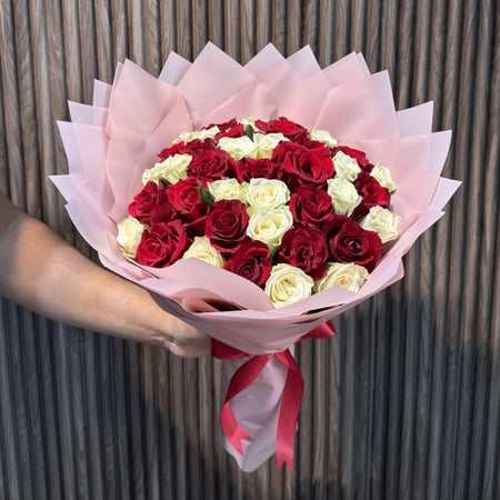 احمر كلاسيك 2