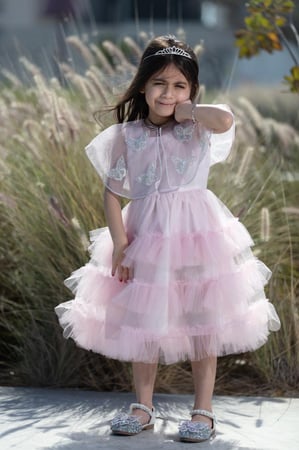 فراشات وردي