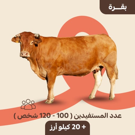 بقرة كبيرة متجر أضحية