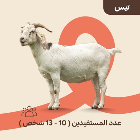 تيس متجر أضحية