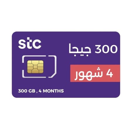 كويك نت 300 لمدة 4 شهور