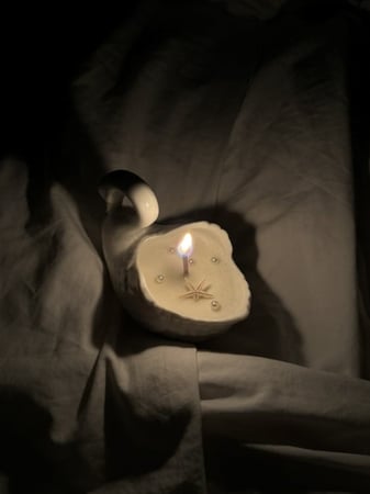 البجعة البيضاء | فانيليا