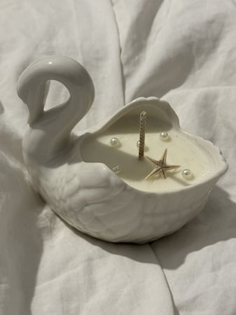 البجعة البيضاء | فانيليا