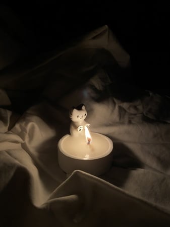 شمعة القط الحنون | مارشميلو